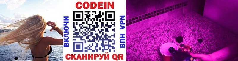 Купить закладки  Гремячинск  Кодеиновый сироп Lean Purple Drank 