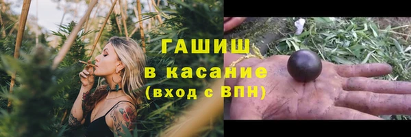 прущие грибы Осинники