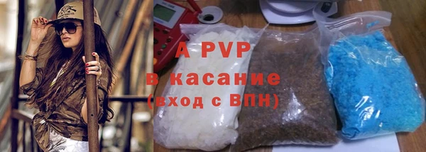 прущие грибы Осинники