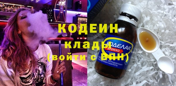 прущие грибы Осинники
