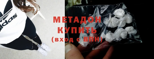 прущие грибы Осинники