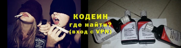 прущие грибы Осинники