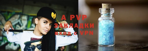 прущие грибы Осинники