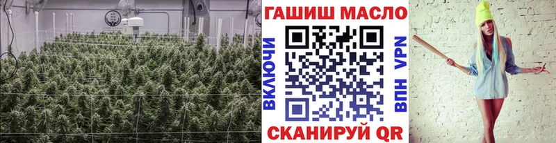 Дистиллят ТГК концентрат  Купить закладки  Гремячинск 