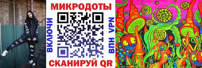 Купить где  Гремячинск  Галлюциногенные грибы Psilocybe 